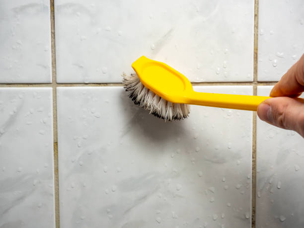 Best Certified Mold Removal  in Mentor, OH