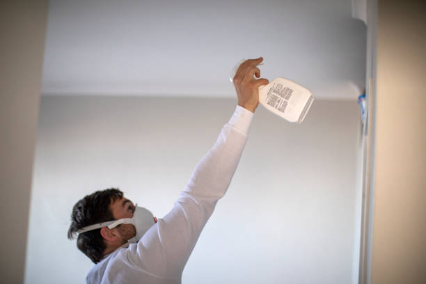 Best Mold Cleaning Services  in Mentor, OH