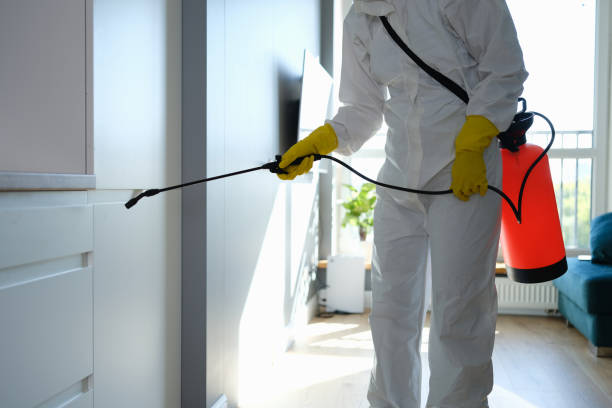 Best Crawl Space Mold Removal  in Mentor, OH
