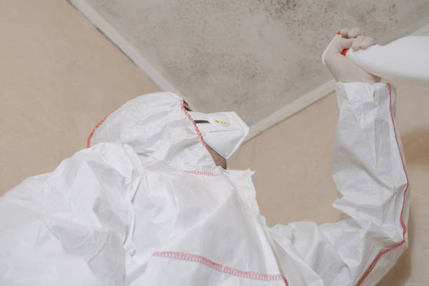Best Toxic Mold Removal  in Mentor, OH